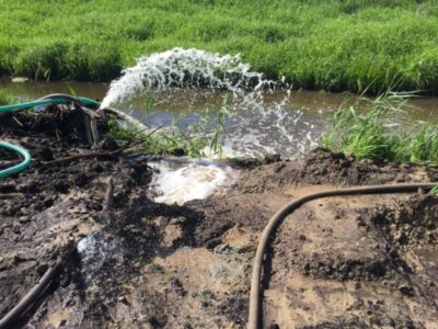 Купить торф Лотошино